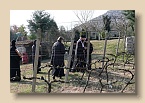 P1010301 (Medium)